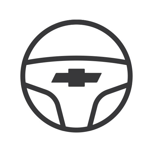 Dirección electrónicamente asistida (EPS)